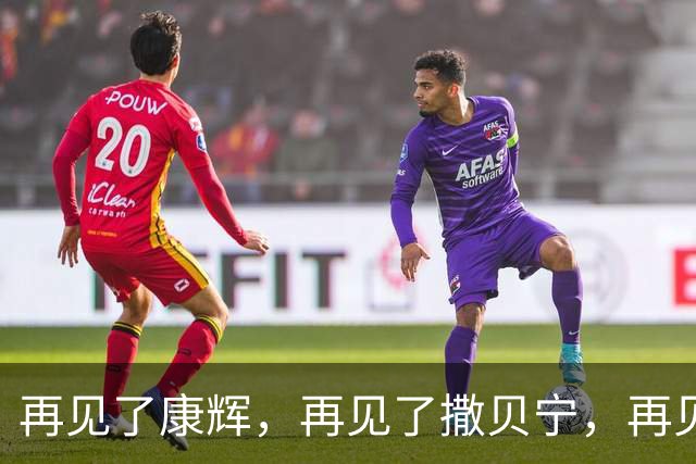 再见了康辉，再见了撒贝宁，再见了董卿，央视主持开启全新篇章