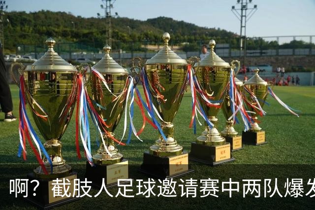 啊？截肢人足球邀请赛中两队爆发冲突，球员挥舞拐杖互殴