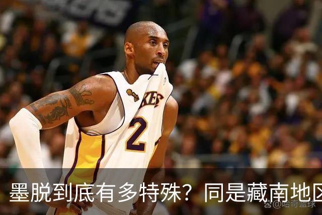 墨脱到底有多特殊？同是藏南地区，为何印度一直跨不过那道“天险”？