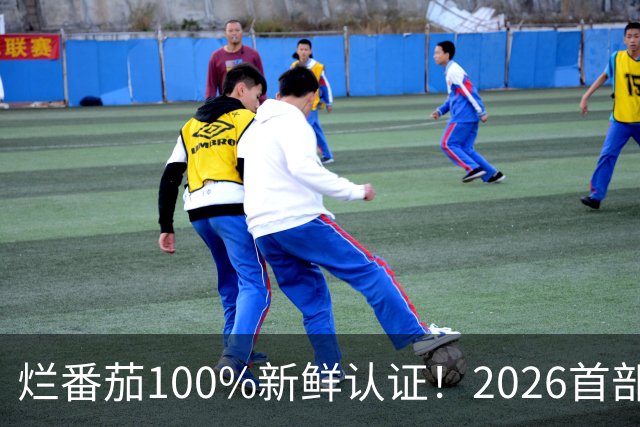 烂番茄100%新鲜认证！2026首部