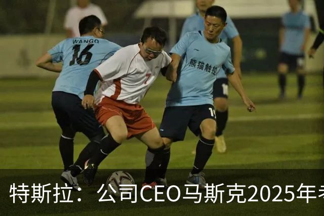 特斯拉：公司CEO马斯克2025年考核未达标，全年实际到手收入为零，没有现金，也没有解锁任何股权