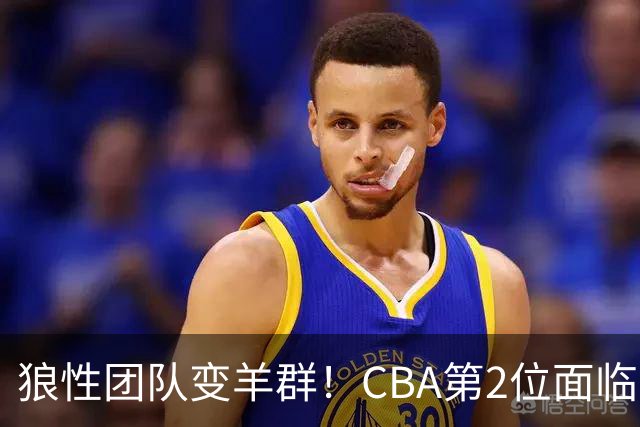狼性团队变羊群！CBA第2位面临下课主帅曝光，发布会怒喷70%球员不在线，却说自己问心无愧！评论区一边倒