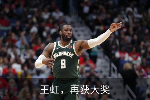 王虹，再获大奖