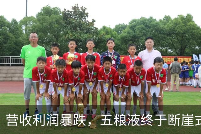 营收利润暴跌，五粮液终于断崖式亮相