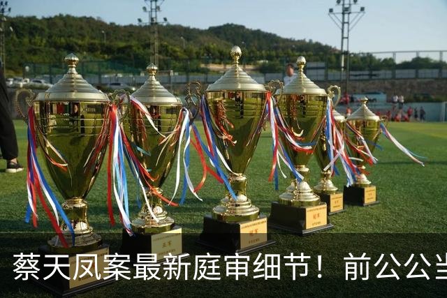 蔡天凤案最新庭审细节！前公公当众辱骂五个字，暴露全部歹毒心思