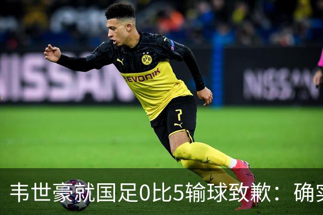 韦世豪就国足0比5输球致歉：确实踢得比较差，这次有很多年轻球员和很多首次入选的球员，昨天已开会总结比赛，希望下一场能把颓势逆转过来